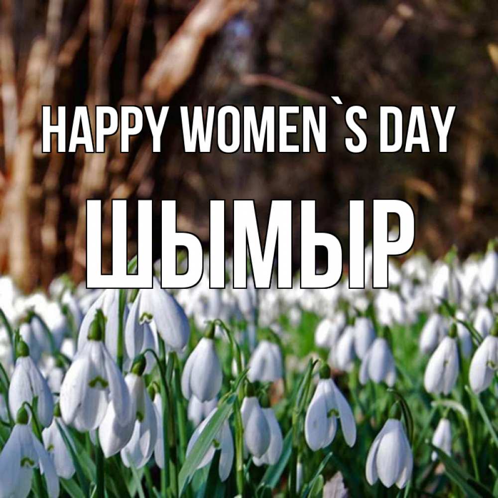 Greetings card с именем, ШЫМЫР happy women`s day с подснежниками 1 Greetings with text for free download 
